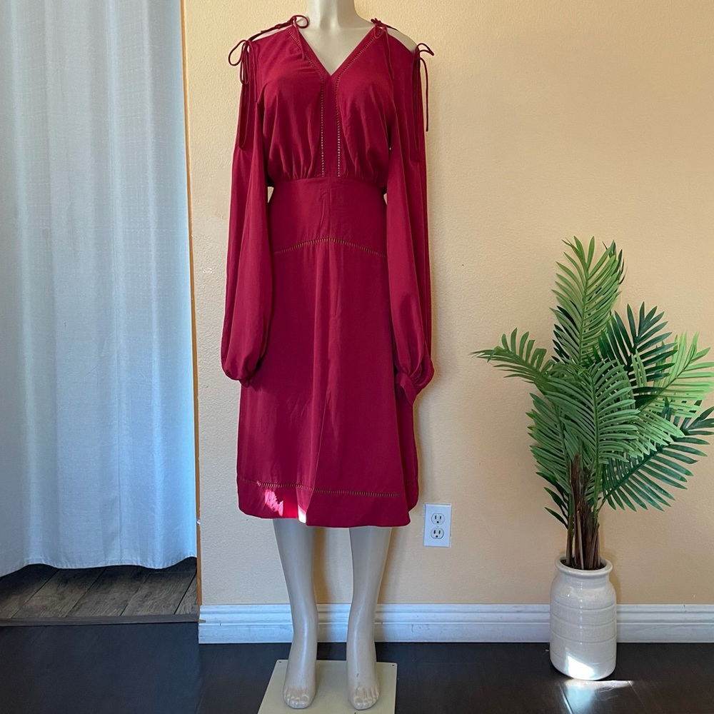 Fame and Partners burgundy dress